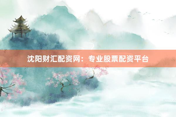 沈阳财汇配资网：专业股票配资平台