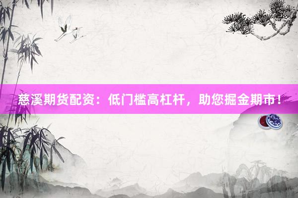 慈溪期货配资：低门槛高杠杆，助您掘金期市！