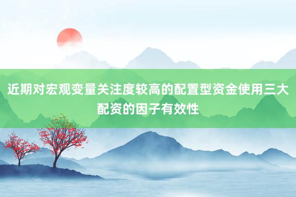 近期对宏观变量关注度较高的配置型资金使用三大配资的因子有效性