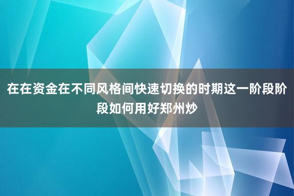 在在资金在不同风格间快速切换的时期这一阶段阶段如何用好郑州炒
