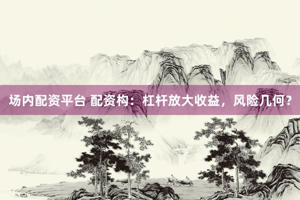 场内配资平台 配资构:杠杆放大收益,风险几何?